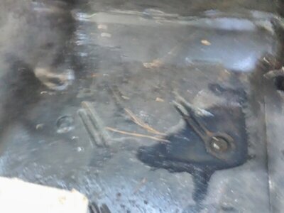 IMG_20211113_134906.jpg IMG_20211113_134906.jpg