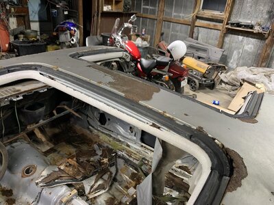 021E949D-C750-4226-984D-12D48E52780E.jpeg 021E949D-C750-4226-984D-12D48E52780E.jpeg