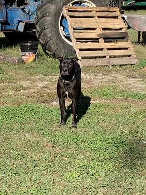 217E4232-0717-4ECB-9219-55EBE3CCC832.jpeg 217E4232-0717-4ECB-9219-55EBE3CCC832.jpeg