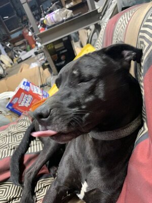 A18C9306-DFE2-4054-BCB3-10ABCE717BE3.jpeg A18C9306-DFE2-4054-BCB3-10ABCE717BE3.jpeg