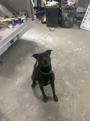 FFB93794-2CBA-44FF-81BD-75F7BD6929C4.jpeg FFB93794-2CBA-44FF-81BD-75F7BD6929C4.jpeg