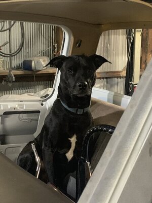 DF719370-CBAF-4D23-A5A6-8B8F39D62DC6.jpeg DF719370-CBAF-4D23-A5A6-8B8F39D62DC6.jpeg