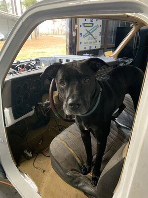 033A3300-0E8F-4E0D-A2F4-E66D99230FC8.jpeg 033A3300-0E8F-4E0D-A2F4-E66D99230FC8.jpeg