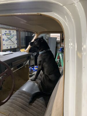 BD9ABB56-FD40-4DD1-95DF-56E11F4A1EE6.jpeg BD9ABB56-FD40-4DD1-95DF-56E11F4A1EE6.jpeg