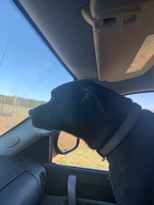 D86A3AB1-41EF-4CB0-9120-2781081A6387.jpeg D86A3AB1-41EF-4CB0-9120-2781081A6387.jpeg