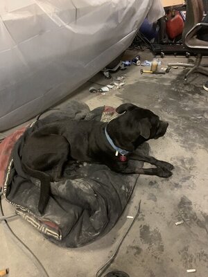 6BDAE00B-8F4E-40B5-B60B-5ED88FAB937D.jpeg 6BDAE00B-8F4E-40B5-B60B-5ED88FAB937D.jpeg