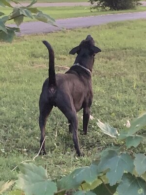 8F08D684-D80B-4125-9955-40C8F4288583.jpeg 8F08D684-D80B-4125-9955-40C8F4288583.jpeg