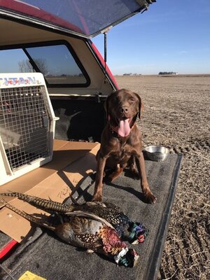 7615ABA8-53B8-4B2E-AA83-670803838E3D.jpeg 7615ABA8-53B8-4B2E-AA83-670803838E3D.jpeg