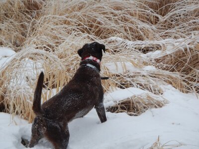 24702F89-FB10-4BDF-9F38-0DCDB061D2D1.jpeg 24702F89-FB10-4BDF-9F38-0DCDB061D2D1.jpeg