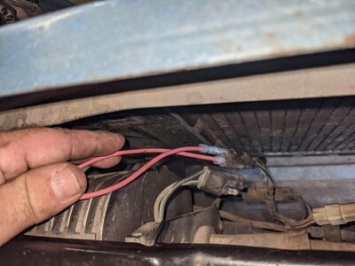 PXL_20211120_170010999.jpg PXL_20211120_170010999.jpg