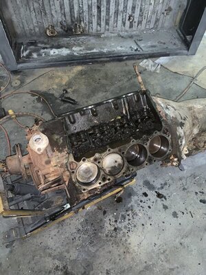 3EE4B4CD-E364-40E4-8F66-369AAB8E0433.jpeg 3EE4B4CD-E364-40E4-8F66-369AAB8E0433.jpeg