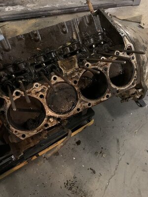 77A29A29-15D7-431C-865B-32889E9E4C2A.jpeg 77A29A29-15D7-431C-865B-32889E9E4C2A.jpeg