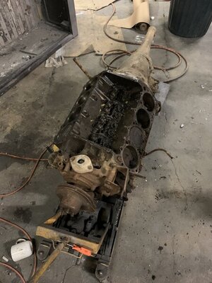 0709F7D9-D986-489B-9446-13CE79E81D96.jpeg 0709F7D9-D986-489B-9446-13CE79E81D96.jpeg