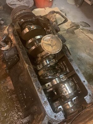 92376C52-9D79-48A9-9897-CB37F419AF22.jpeg 92376C52-9D79-48A9-9897-CB37F419AF22.jpeg