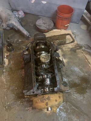 BA5544C9-3B0F-468C-8C3D-5A08541670C3.jpeg BA5544C9-3B0F-468C-8C3D-5A08541670C3.jpeg