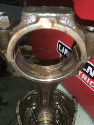 1A17BF04-EF37-431E-9479-9246F1A186EF.jpeg 1A17BF04-EF37-431E-9479-9246F1A186EF.jpeg