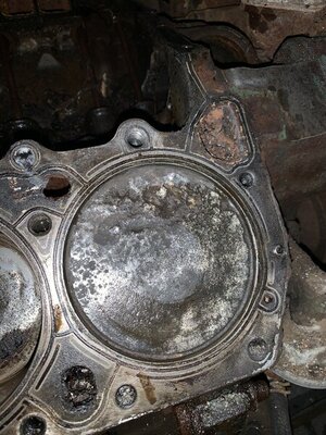 861D87C9-6C2D-4B5F-9AE7-F2944A48F305.jpeg 861D87C9-6C2D-4B5F-9AE7-F2944A48F305.jpeg