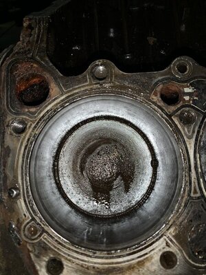 51AFCCF3-FFEA-4DE7-BF54-D07A0A6D7352.jpeg 51AFCCF3-FFEA-4DE7-BF54-D07A0A6D7352.jpeg