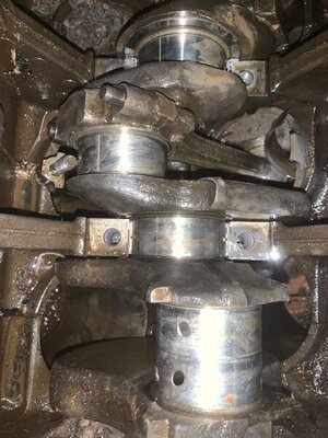 C72A6AB0-08D8-45FA-8236-0108D0AD724E.jpeg C72A6AB0-08D8-45FA-8236-0108D0AD724E.jpeg