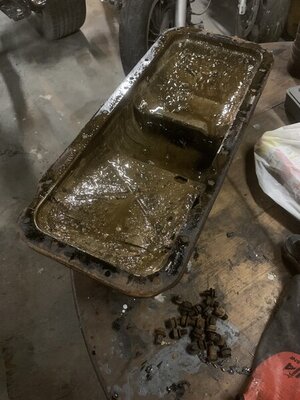 8CDBE981-CDB6-4A0C-8BFD-F4493B8D84A5.jpeg 8CDBE981-CDB6-4A0C-8BFD-F4493B8D84A5.jpeg