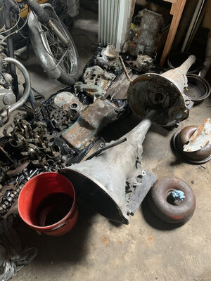 AFF24960-E12D-46B6-A392-D320B4CA677A.jpeg AFF24960-E12D-46B6-A392-D320B4CA677A.jpeg