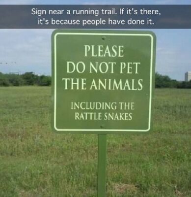 d8c7e89fa140f8c8e06fc8cb9d72ae11.jpg d8c7e89fa140f8c8e06fc8cb9d72ae11.jpg