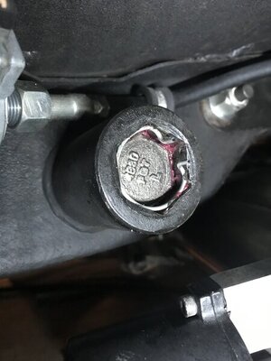 IMG_6450.JPG IMG_6450.JPG