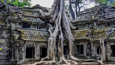 temples of Ta Prohm-Angkor in Cambodia.jpg