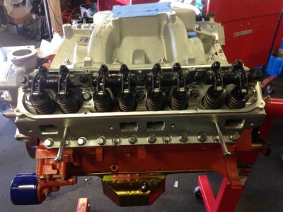 IMG_1435.jpg IMG_1435.jpg