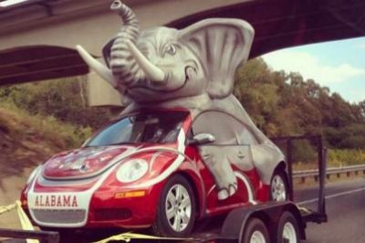 alabama.jpg