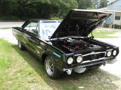 IMG_4494.jpg IMG_4494.jpg