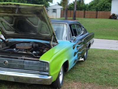 P8248615.jpg P8248615.jpg