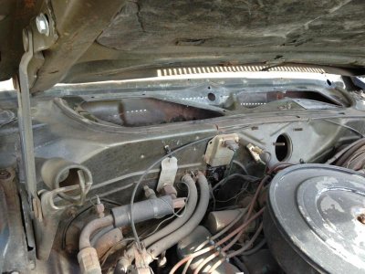 IMG_6017.jpg IMG_6017.jpg