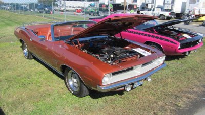 IMG_1981.jpg IMG_1981.jpg