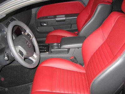 IMG_3201 (Large).jpg