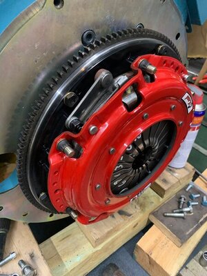 IMG_3485.jpg IMG_3485.jpg