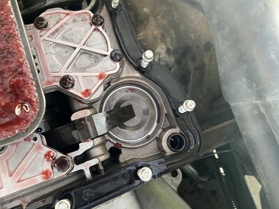 6A7B4550-8CB0-4DFA-AF2F-E772FCFB56A8.jpeg 6A7B4550-8CB0-4DFA-AF2F-E772FCFB56A8.jpeg