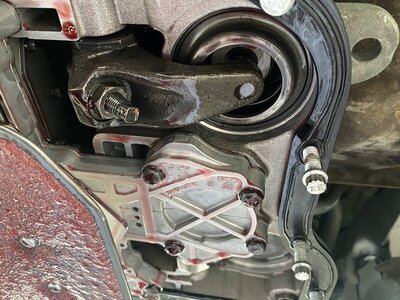 7E2BBBE0-FBA2-4571-89AD-6229AFE98442.jpeg 7E2BBBE0-FBA2-4571-89AD-6229AFE98442.jpeg