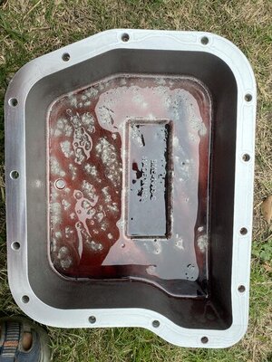 E830C122-B3ED-4605-AB85-879880AE02C2.jpeg E830C122-B3ED-4605-AB85-879880AE02C2.jpeg