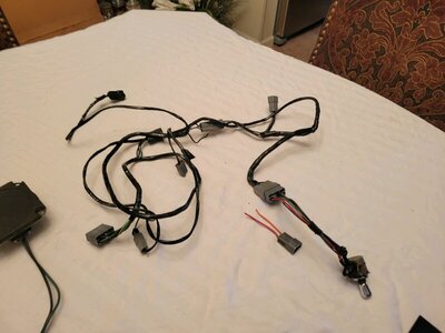 LYIQ6400.JPG