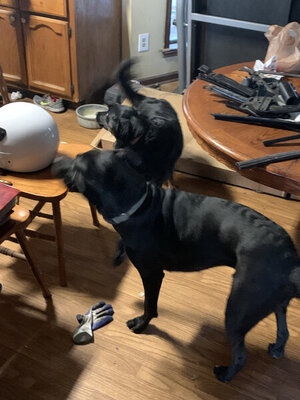 57063E71-F728-4F2C-9E01-EE62E65D0C3C.jpeg 57063E71-F728-4F2C-9E01-EE62E65D0C3C.jpeg