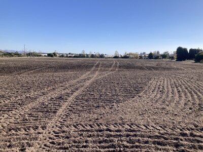 081038B0-7B76-4B02-923B-4192310D2B4F.jpeg 081038B0-7B76-4B02-923B-4192310D2B4F.jpeg