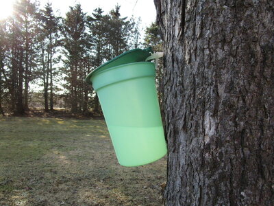 IMG_0077.JPG IMG_0077.JPG