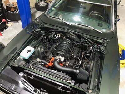 IMG_9319.jpg IMG_9319.jpg