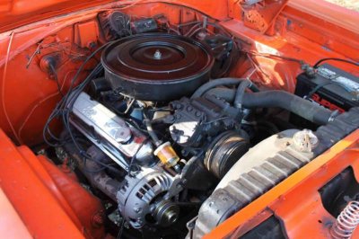 VP3440882_17_large.jpg VP3440882_17_large.jpg