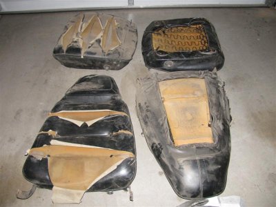 IMG_4050 (Medium).JPG