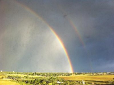 2-Denver-Searched-all-day-for-the-pot-of-gold.-Those-leprechauns-are-such-liars.-Great-artists-t.jpg