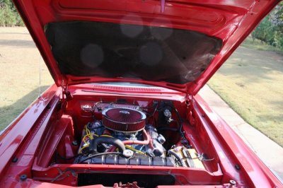 011 (Large).jpg 011 (Large).jpg