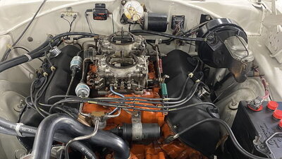 243093C8-64B1-45C6-9036-8B58D8927267.jpeg 243093C8-64B1-45C6-9036-8B58D8927267.jpeg