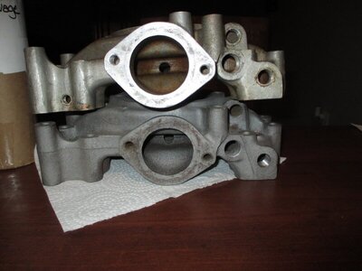 IMG_3271 (Large).JPG